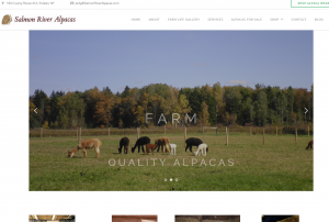 Wordpress web site salmon river alpacas